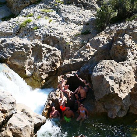 Friends Hostel & Tours Shkodër エクステリア 写真